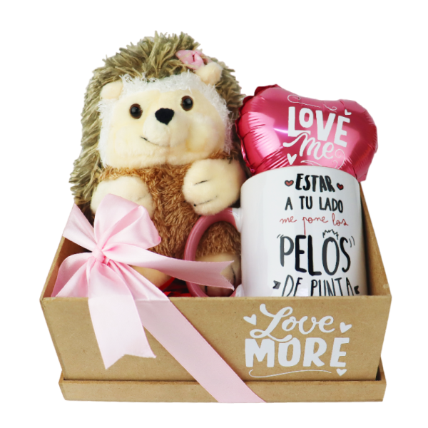 MS Regalos Personalizados | Gift Box | Erizo Estar a tu lado 2 | My Sign Lima Peru