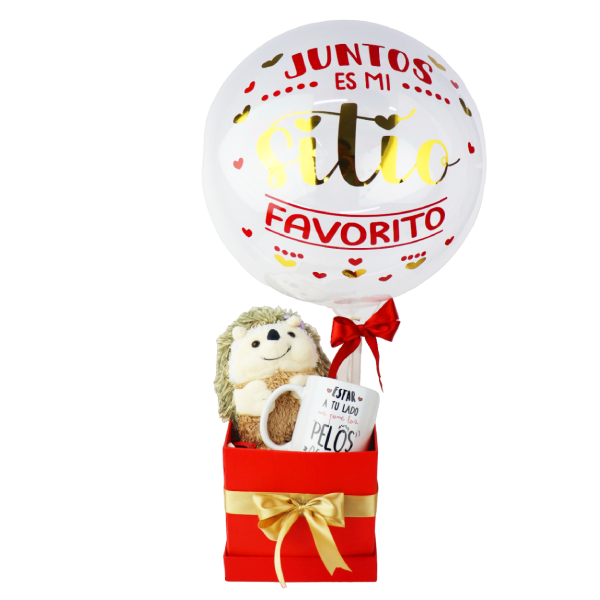 MS Regalos Personalizados | Pack Peluche | Juntos es mi sitio favorito | My Sign Lima Peru