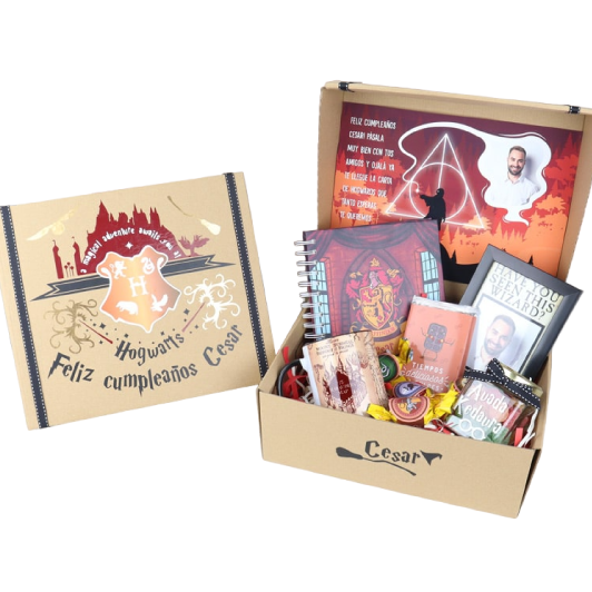 MS Regalos Personalizados | Pack Temático | Harry Potter | My Sign Lima Peru