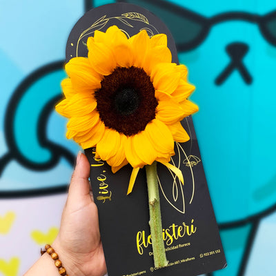 Girasol Natural