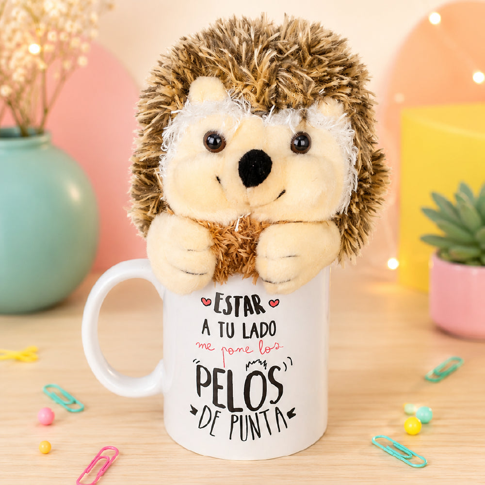 Pack Erizo | Taza + Peluche
