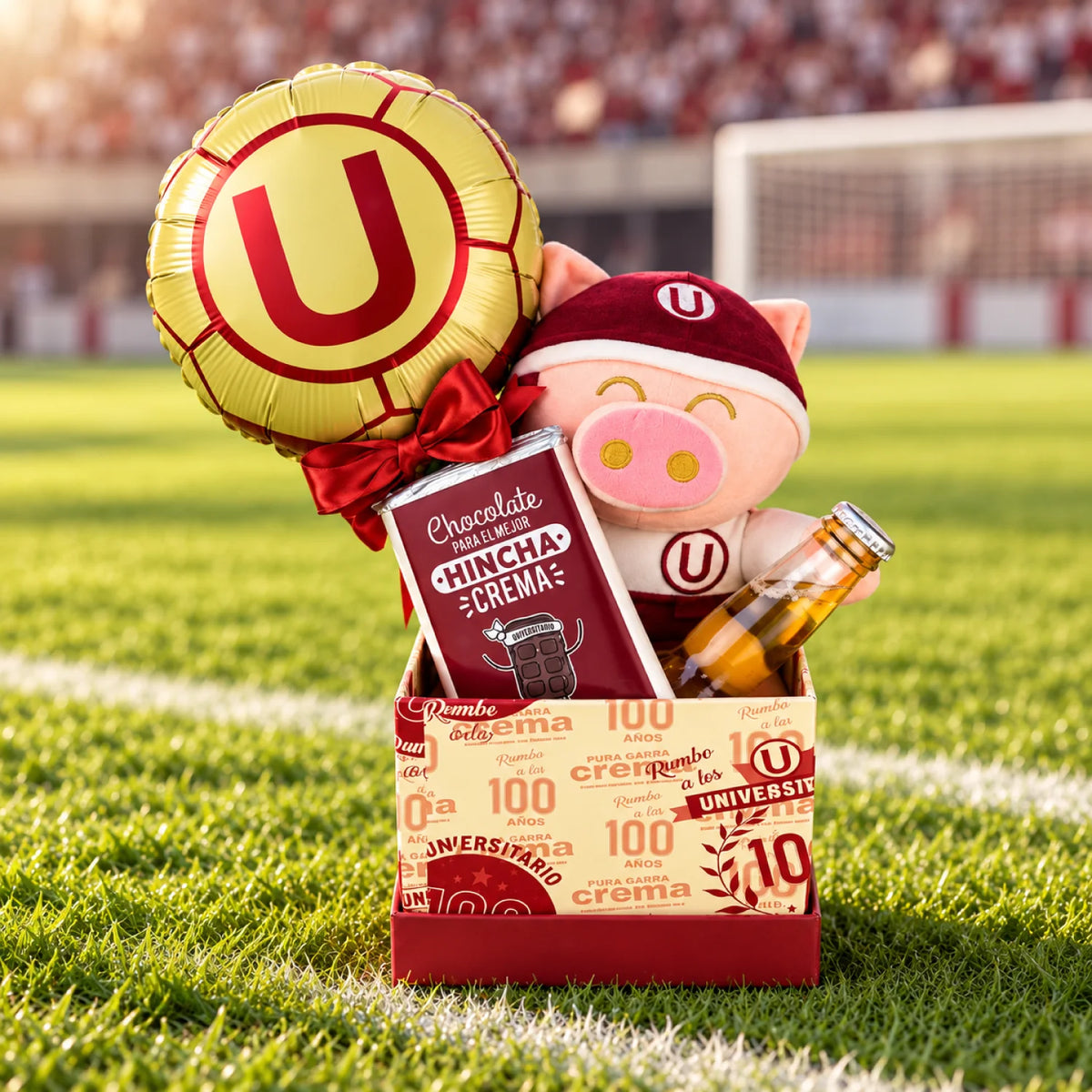Pack Peluche | Universitario